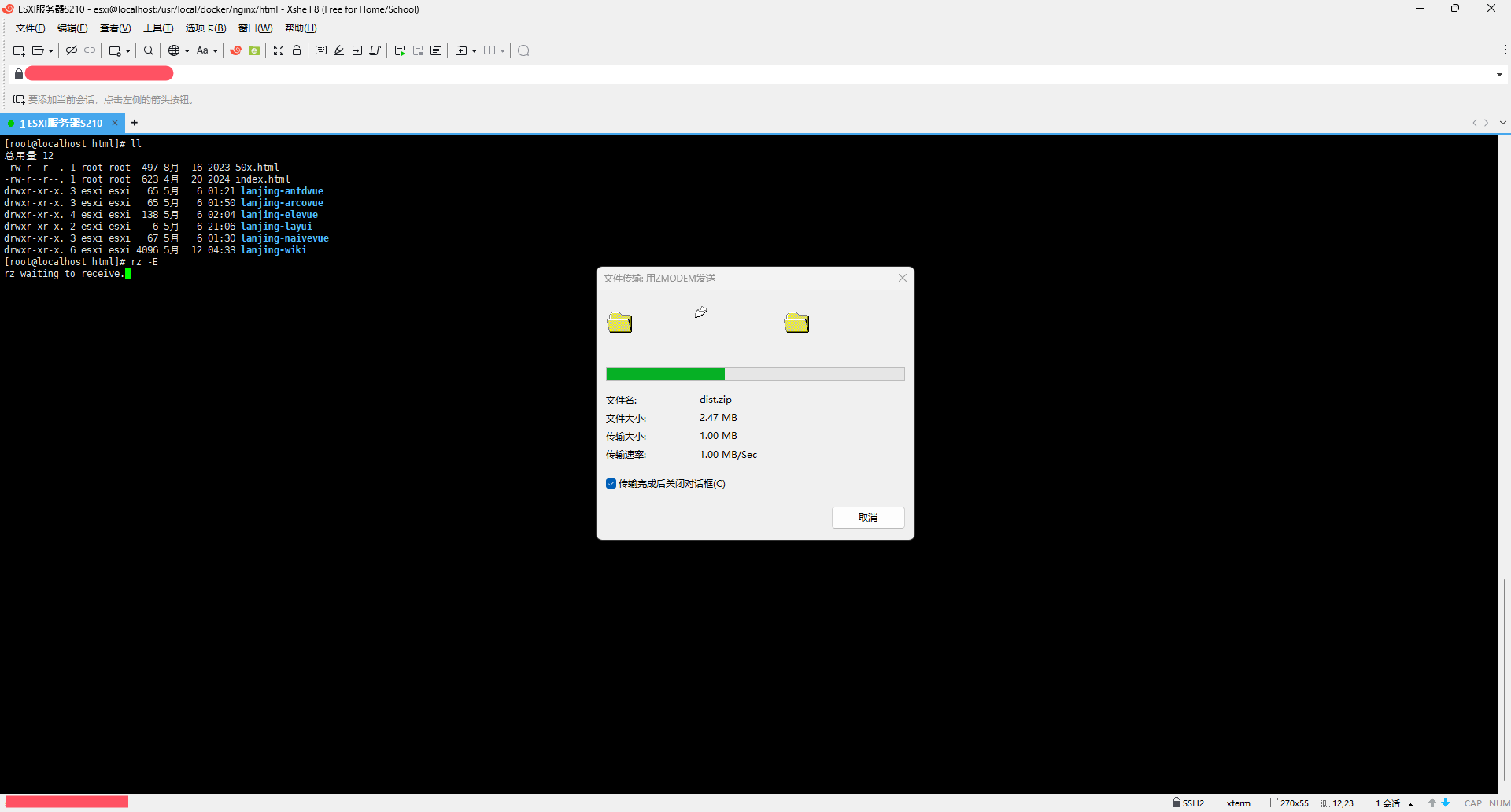 Nginx